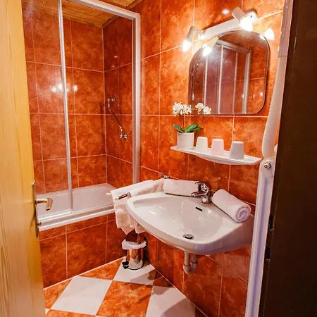 Bergidyll 6 By Alpenidyll Apartment Ramsau am Dachstein